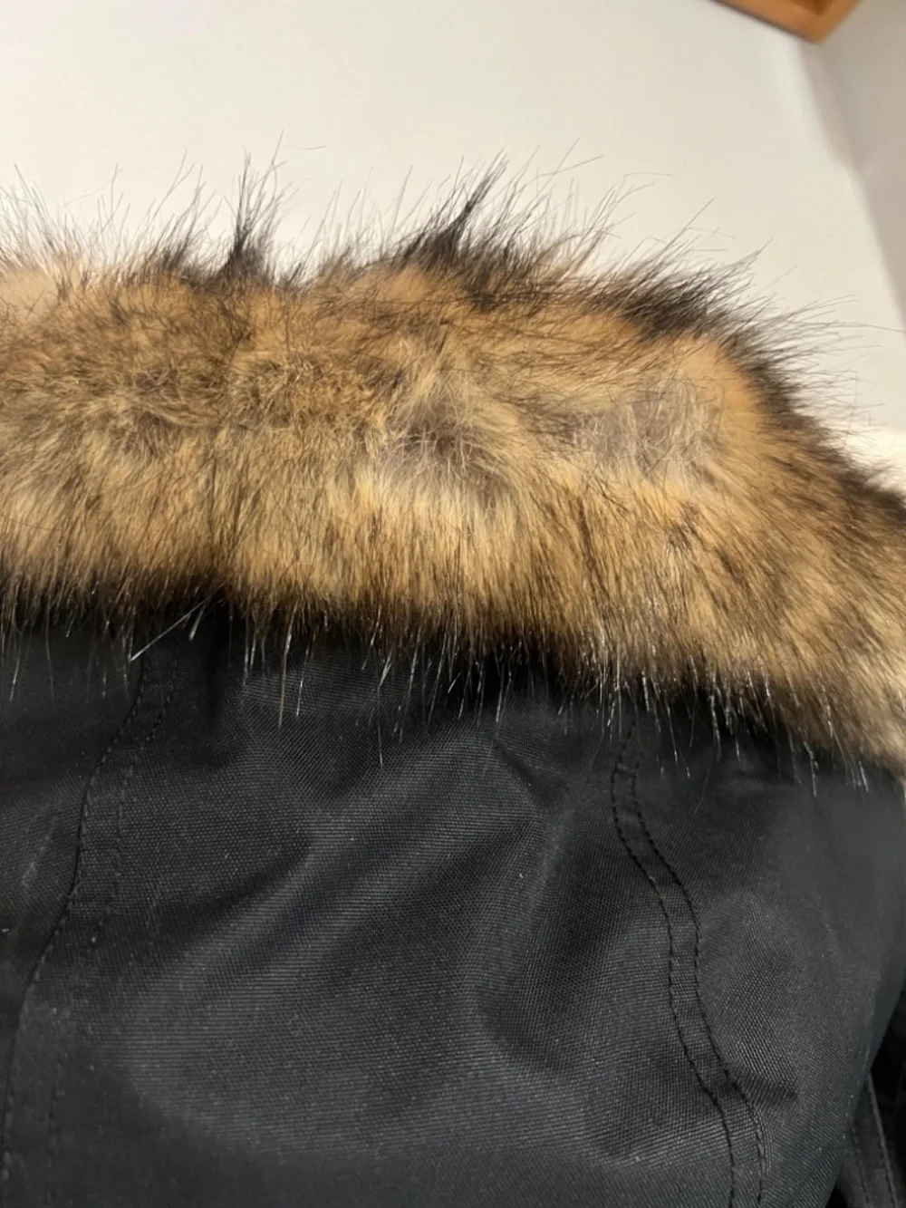 Men's Eddie Bauer 